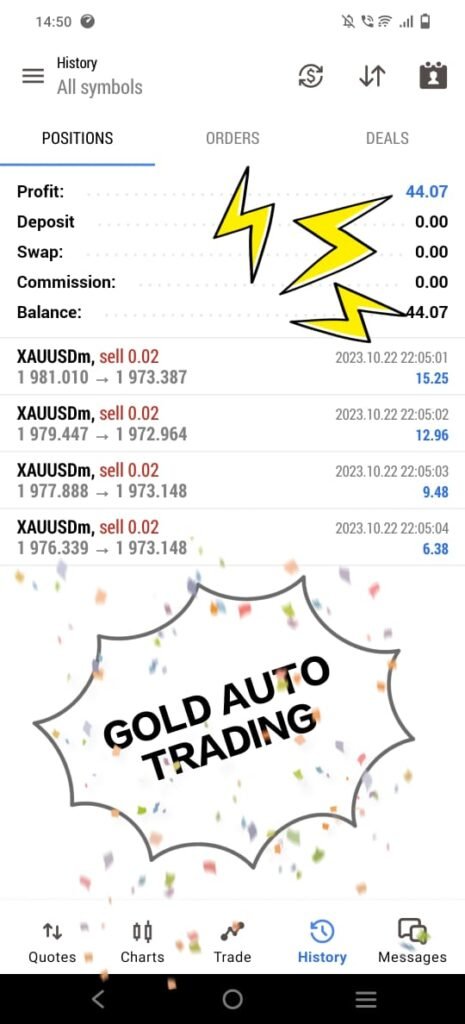 WhatsApp Image 2023-10-24 at 3.19.22 PM (2)